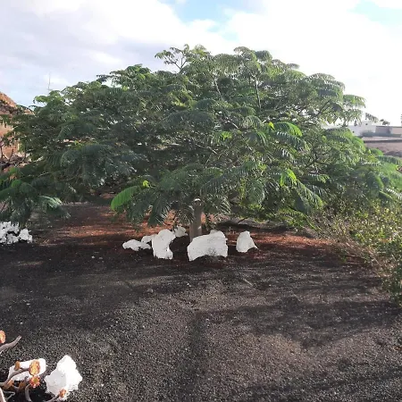 Loft La Tahonilla Landsted *