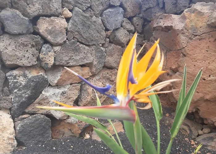 Loft La Tahonilla Hétvégi ház Tías