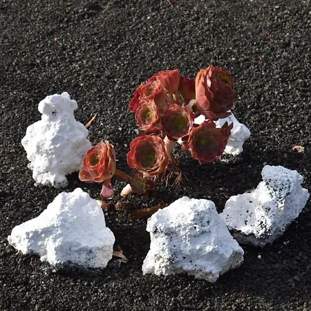 Kır Evi Loft La Tahonilla *