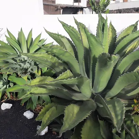 Kır Evi Loft La Tahonilla *