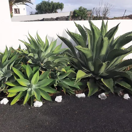 Loft La Tahonilla * Tías