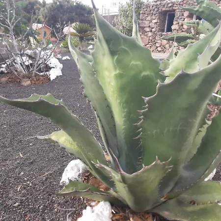 Kır Evi Loft La Tahonilla *