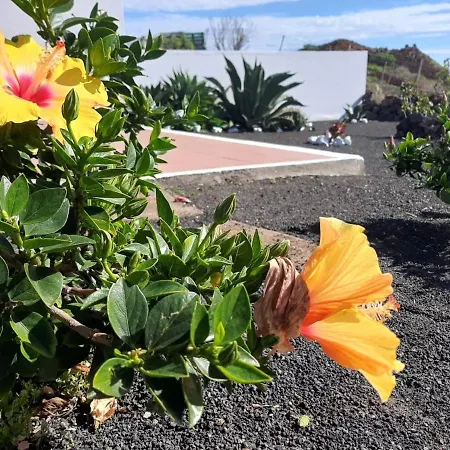 Casa rural Loft La Tahonilla