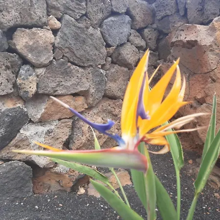 Loft La Tahonilla Casa rural Tías