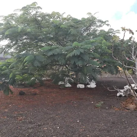 Loft La Tahonilla Casa rural Tías